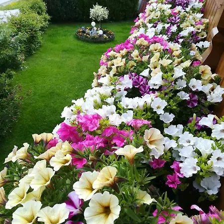 Bergblick Appartement