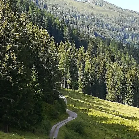 Bergblick *