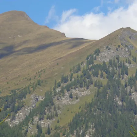 Bergblick